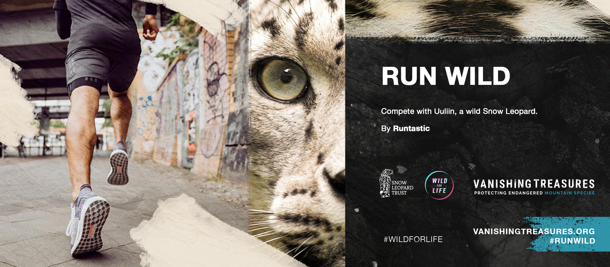 Run for life перевод. Adidas Snow Leopard. Run Wild. Snow Leopard Run Бишкек. The International Snow Leopard Trust.